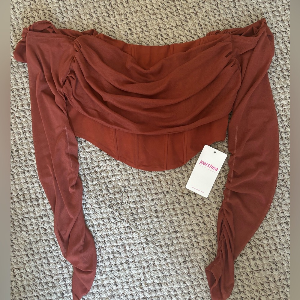 brown corset top with draped detail and long sleeves